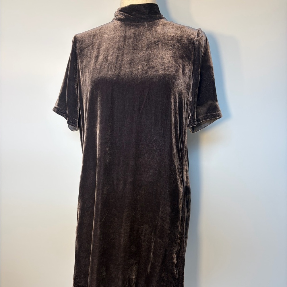 Whimsigoth Silk Velvet Short Sleeve Dress